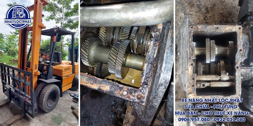 sửa chữa xe nâng tân hòa